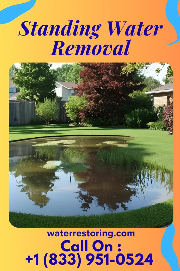 Standing Water Removal in Hoschton, GA